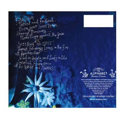 Songs for Ships and Irons: CD