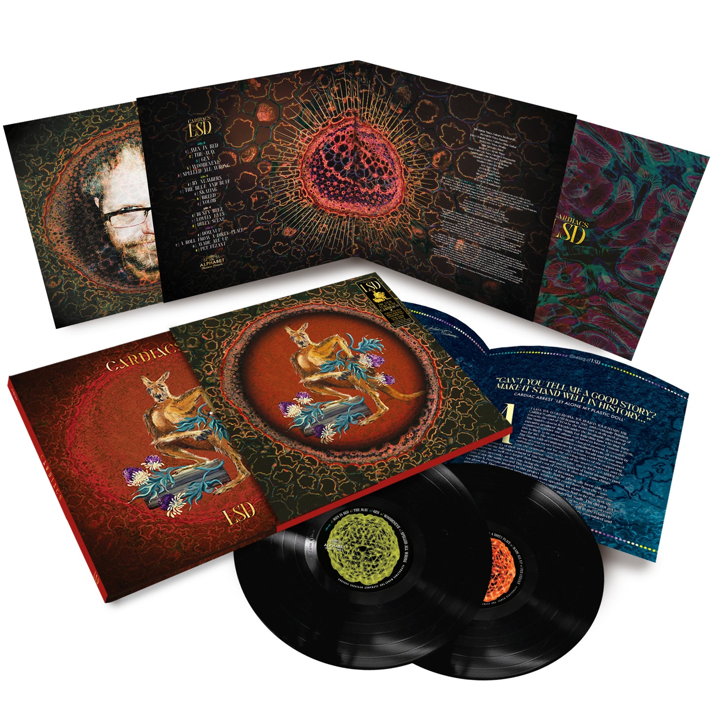 LSD: FASHIONABLE BLACK Deluxe Double Vinyl: PRE-ORDER