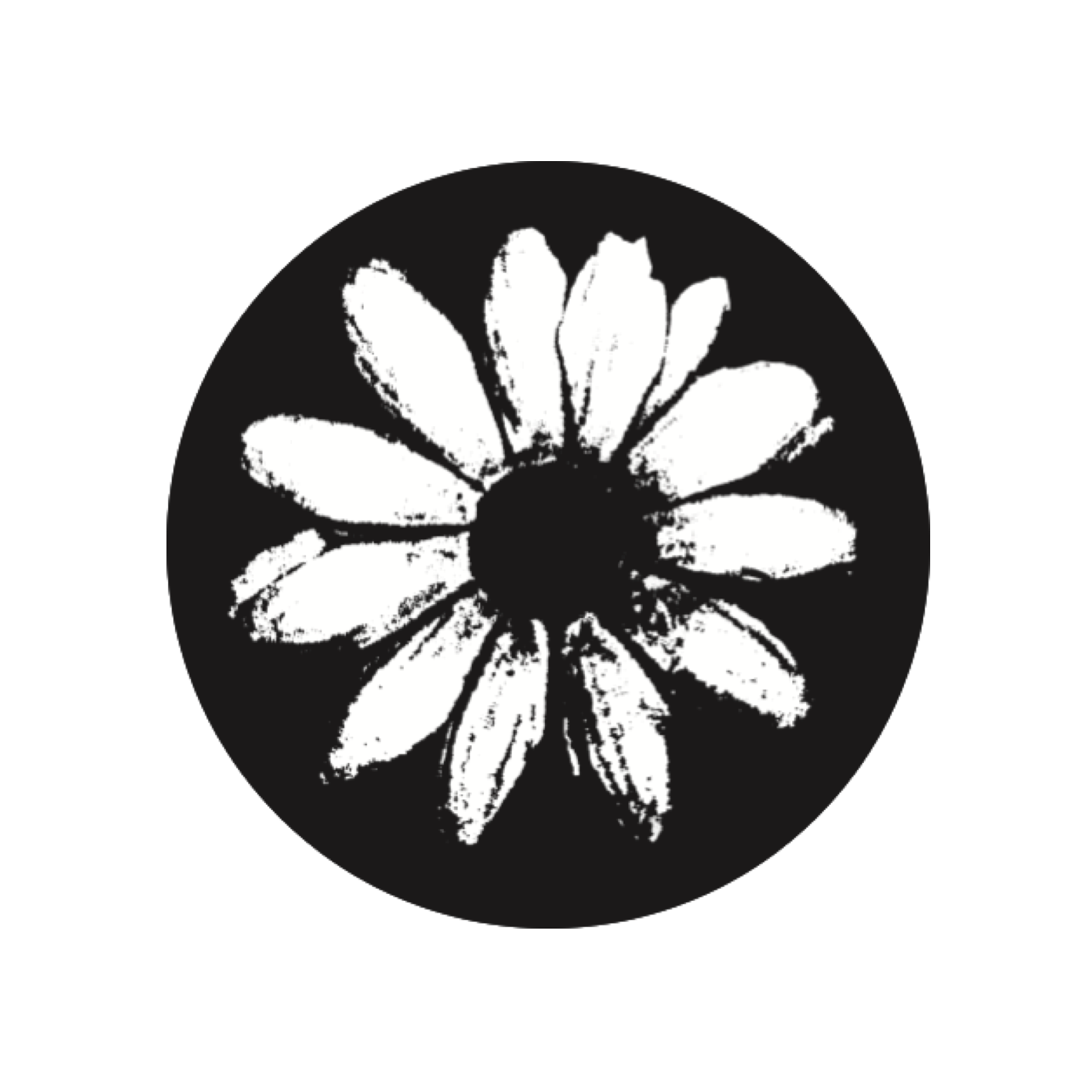 Daisy Window Sticker