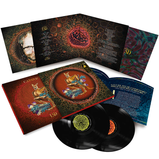 LSD: FASHIONABLE BLACK Deluxe Double Vinyl: PRE-ORDER
