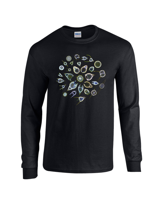The Sea Nymphs, On The Dry Land T-Shirt, Black, Long Sleeve with ABC backprint